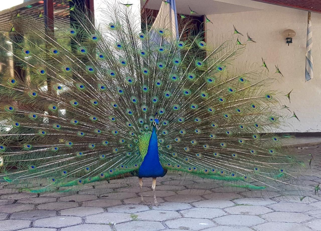 Ayuí Resort&spa Termal Hotel